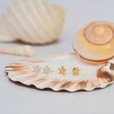 zoe starburst diamante star studs / EARRINGS - gold